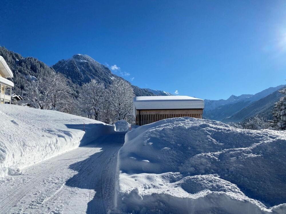 Haus Albuin Daire Sankt Gallenkirch Dış mekan fotoğraf