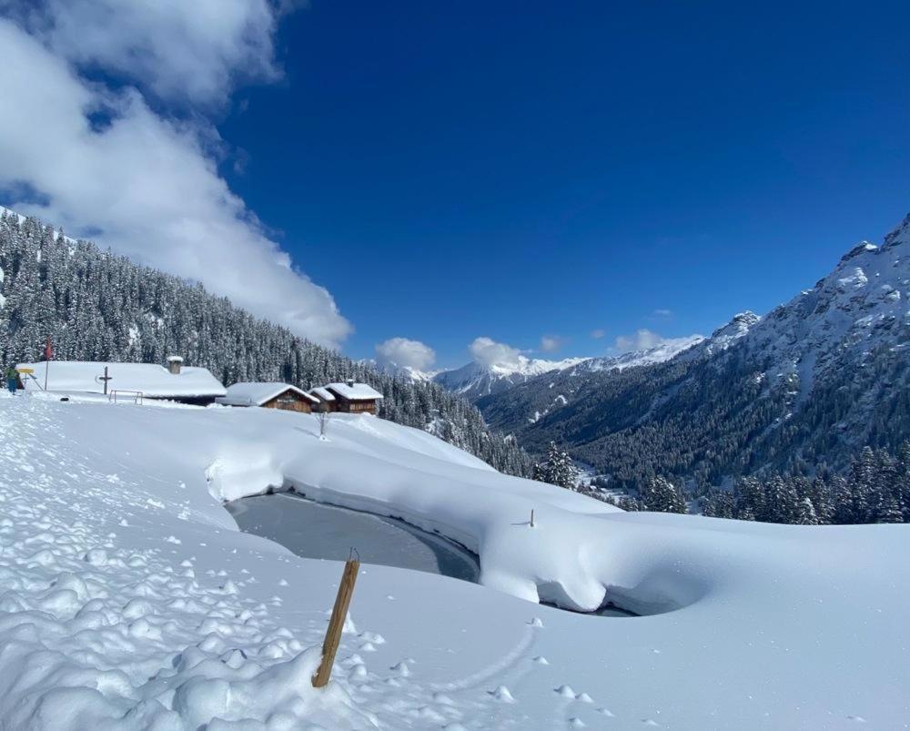 Haus Albuin Daire Sankt Gallenkirch Dış mekan fotoğraf